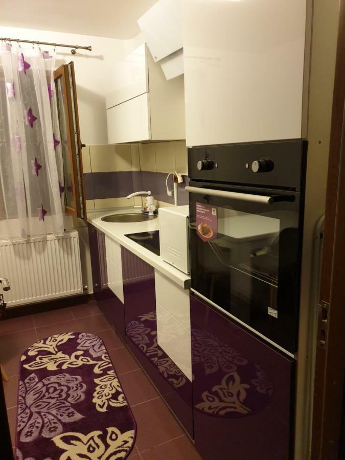 Apartament Oana'S Home Orsova Bagian luar foto