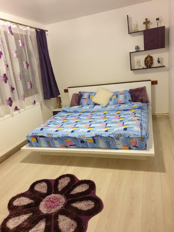Apartament Oana'S Home Orsova Bagian luar foto